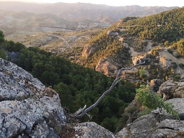 Vista Mora Sierra Cazorla Vila La Iruela Exterior foto